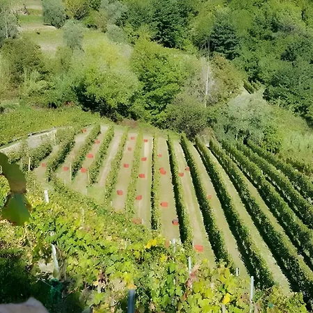 Casa vacanze Franca Nature Holidays Rezzo