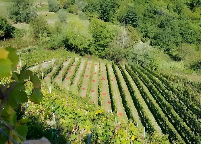 Vakantiehuis Franca Nature Holidays *